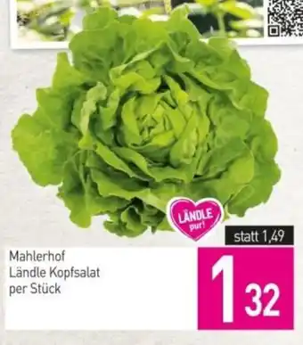 Sutterlüty Mahlerhof Ländle Kopfsalat Angebot
