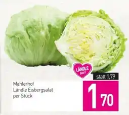 Sutterlüty Mahlerhof ländle eisbergsalat Angebot