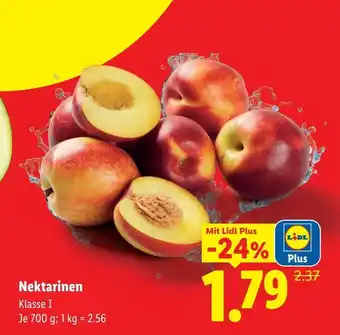 Lidl Nektarinen Angebot