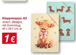 KiK Klappmappe a3 Angebot