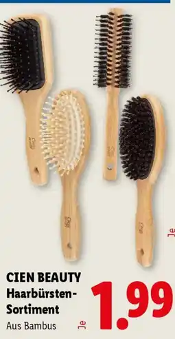 Lidl Cien beauty haarbürsten- sortiment Angebot