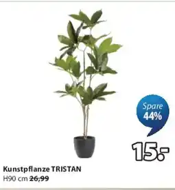 JYSK Kunstpflanze TRISTAN Angebot