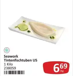 Kastner Seawork Tintenfischtuben U5 Angebot