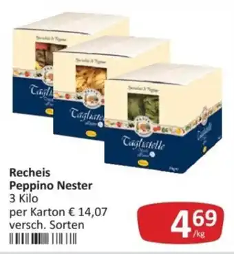 Kastner Recheis Peppino Nester Angebot