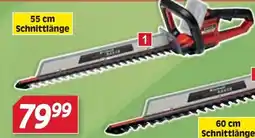 Zgonc Arcurra 18/55 Angebot