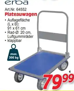 Zgonc erba Art.Nr. 64552 Plateauwagen Angebot