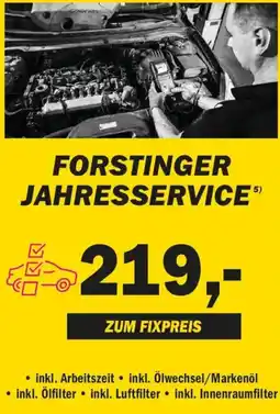 Forstinger Forstinger jahresservice Angebot