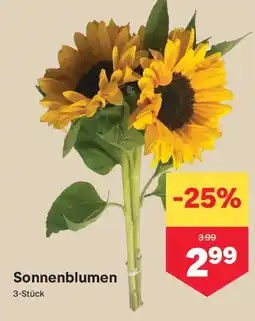 MPreis Sonnenblumen Angebot