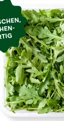 MPreis M Rucola Angebot