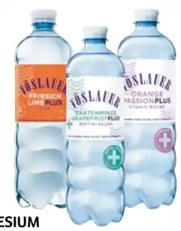 Transgourmet Vöslauer Mineralwasser Sport-Magnesium & Flavour Angebot