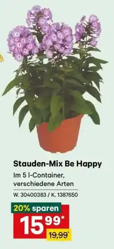 Lagerhaus Stauden-Mix Be Happy Angebot