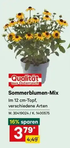 Lagerhaus Sommerblumen-Mix Angebot
