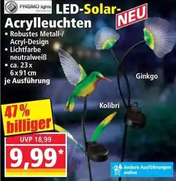 Norma LED-Solar- Acrylleuchten Angebot