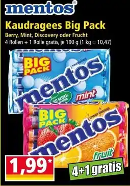 Norma Kaudragees Big Pack Angebot