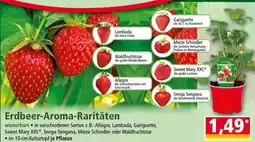 Norma Erdbeer-Aroma-Raritäten Angebot