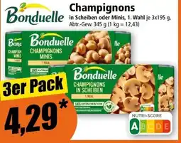 Norma Champignons Angebot