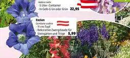 Bauhaus Enzian Angebot
