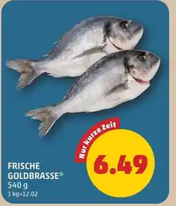 PENNY Frische goldbrasse Angebot
