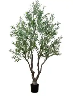 Mömax Kunstpflanze Olivenbaum Angebot
