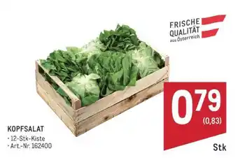 Metro Kopfsalat Angebot