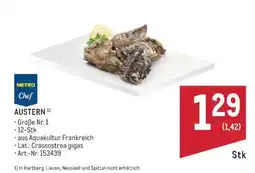 Metro Austern Angebot