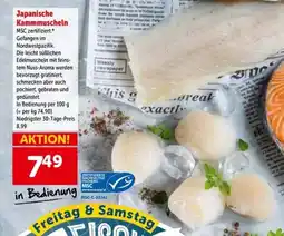 Interspar Japanische kammmuscheln Angebot