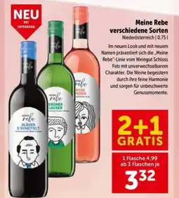 Interspar Meine rebe verschiedene sorten Angebot