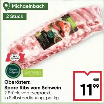 Maximarkt Oberösterr. Spare Ribs vom Schwein Angebot
