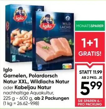 Iglo garnelen, polardorsch natur xxl, wildlachs natur oder kabeljau natur