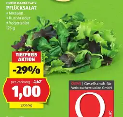 Hofer Hofer marktplatz pflücksalat Angebot