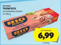 Hofer Rio mare thunfisch Angebot