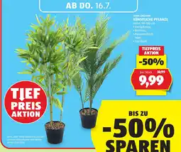 Hofer Home creation künstliche pflanze Angebot