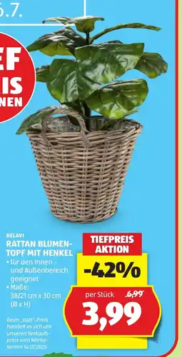 Hofer Belavi rattan blumen topf mit henkel Angebot