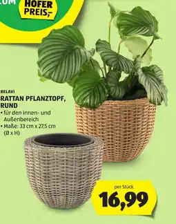 Hofer Belavi rattan pflanztopf, rund Angebot
