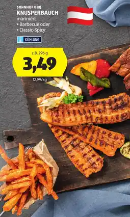 Hofer Sonnhof bbq Angebot