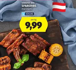 Hofer Sonnhof bbq spareribs Angebot