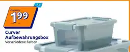 Action Curver Aufbewahrungsbox Angebot