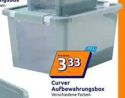 Action Curver Aufbewahrungsbox Angebot