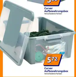 Action Curver Aufbewahrungsbox Angebot