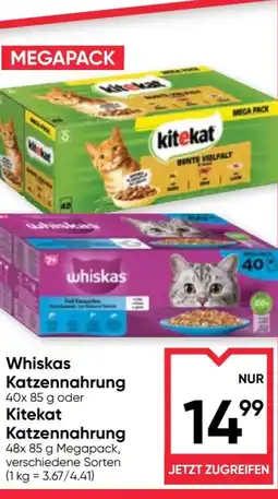 Maximarkt whiskas Katzennahrung oder Kitekat Katzennahrung Angebot