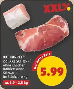 PENNY Xxl karree od. xxl schopf Angebot