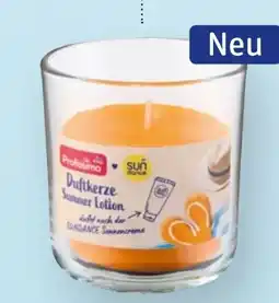dm Profissimo Duftkerze Angebot