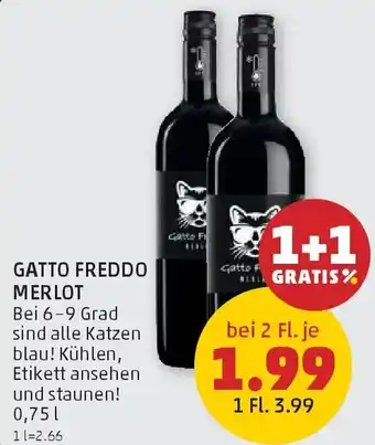 PENNY Gatto freddo merlot Angebot