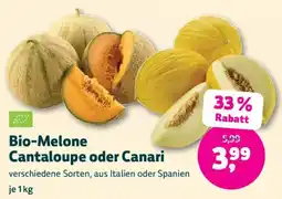 Denn's Biomarkt Bio-Melone Cantaloupe oder Canari Angebot