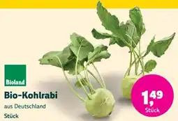 Denn's Biomarkt Bio-Kohlrabi Angebot