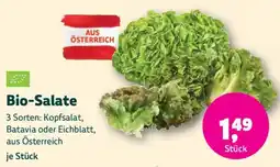 Denn's Biomarkt Bio-Salate Angebot