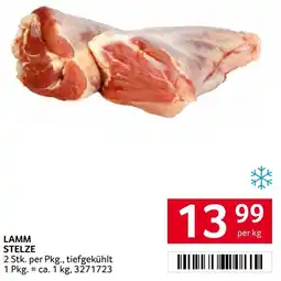 Transgourmet Lamm stelze Angebot