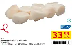 Transgourmet Msc jakobsmuschelfleisch 10/20 Angebot