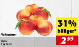 Nah&Frisch Nektarinen Angebot
