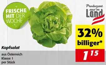 Nah&Frisch Kopfsalat Angebot